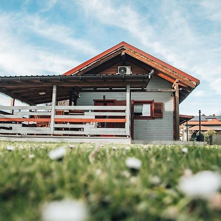 Apartments Brunarica Moravske Toplice Bagian luar foto